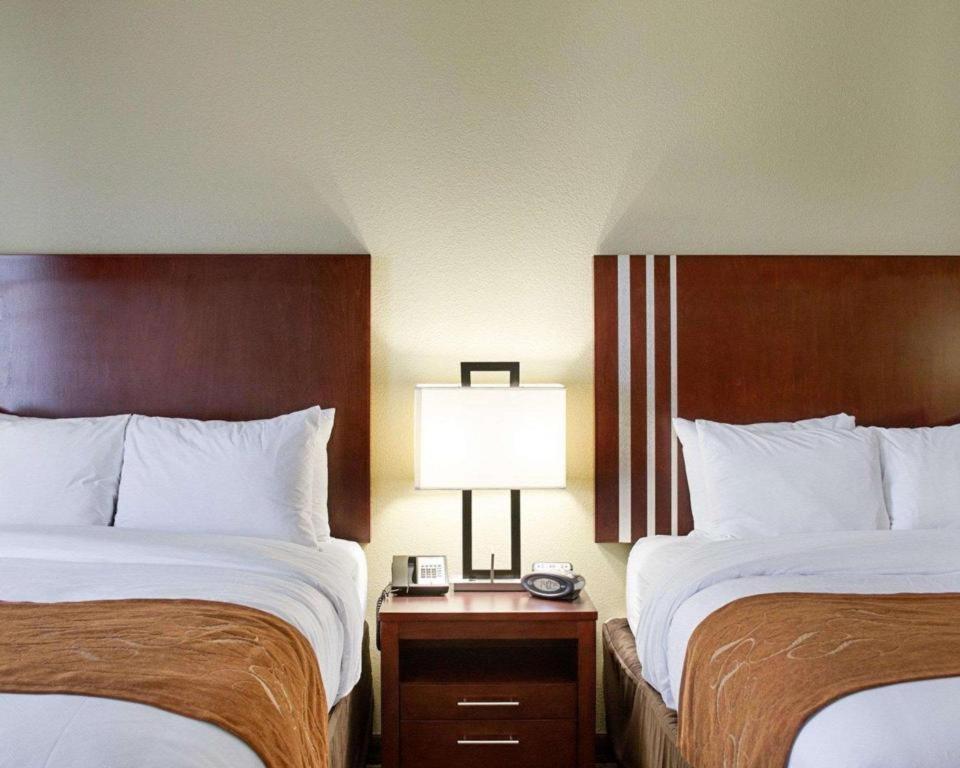 Comfort Suites Greenwood Εξωτερικό φωτογραφία