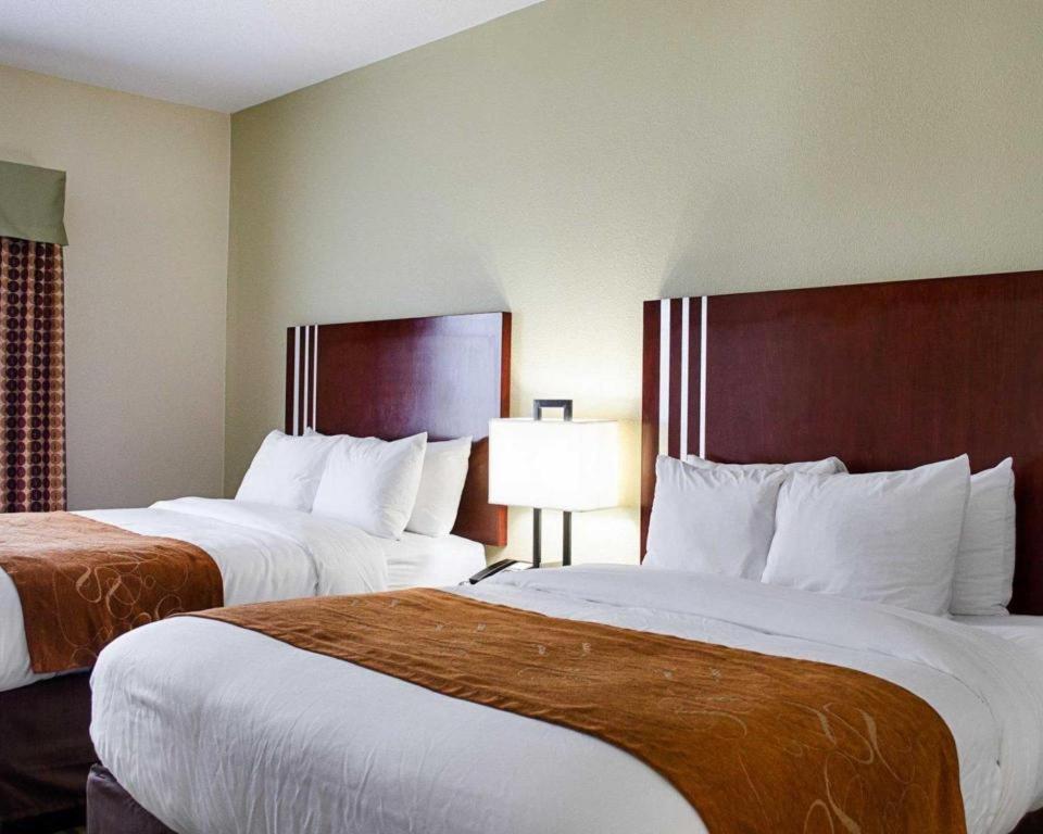 Comfort Suites Greenwood Εξωτερικό φωτογραφία