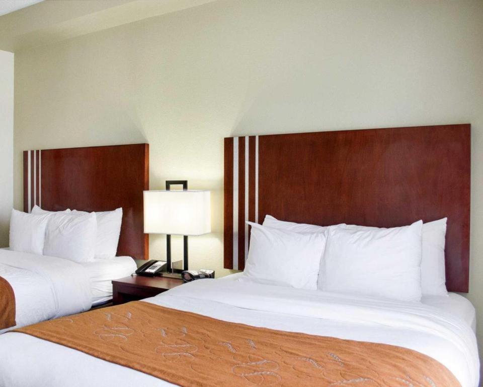 Comfort Suites Greenwood Εξωτερικό φωτογραφία